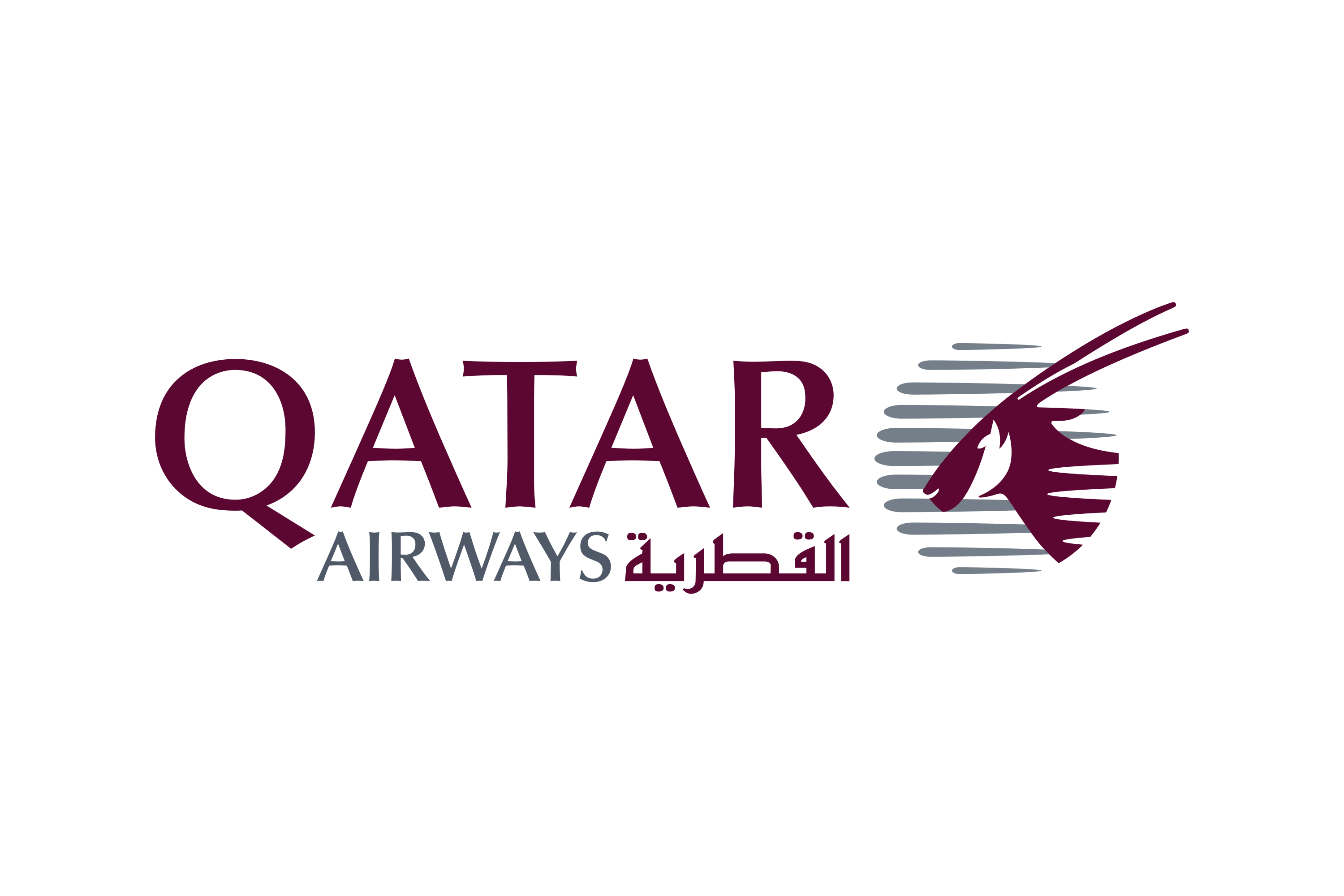 Airline Partner 10