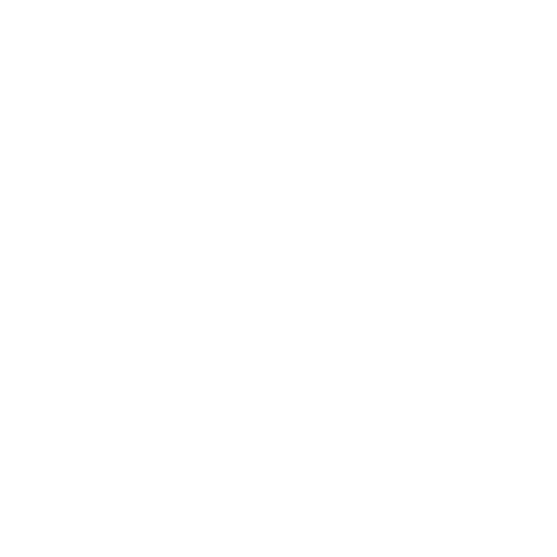 Travel Experience