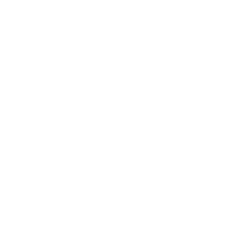 Travel Experience